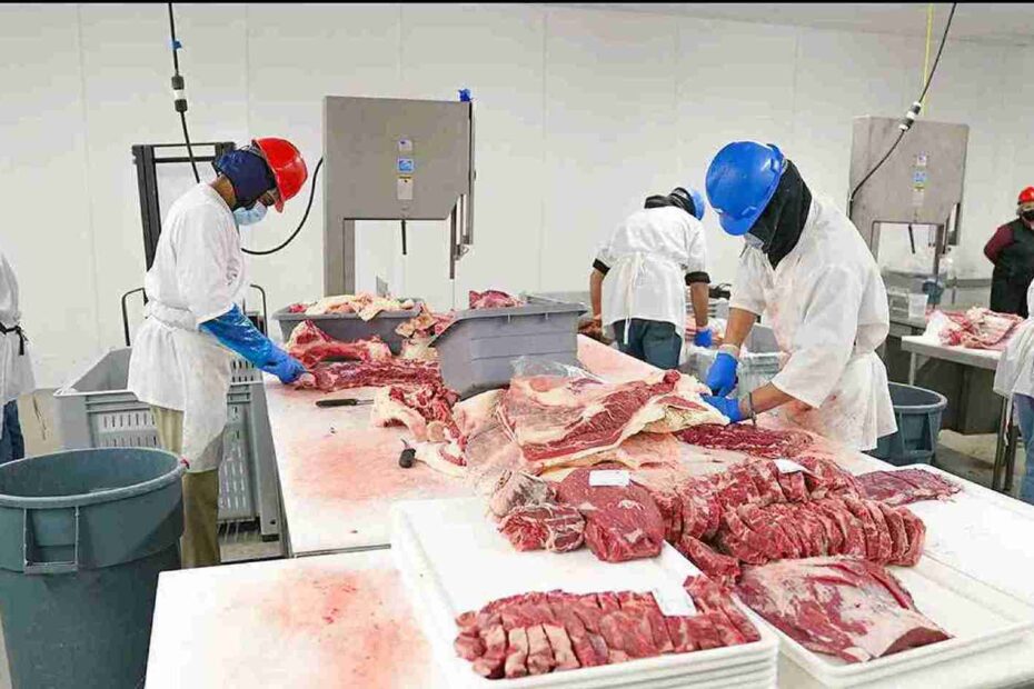 ขายส่งเนื้อโคขุน เนื้อวัวราคาส่ง เนื้อโคขุนสไลด์ ชาบู ปิ้งย่าง Meat49