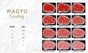 เกรดของเนื้อวัวคืออะไร ทำไมเนื้อเกรดดีถึงราคาสูงกว่า