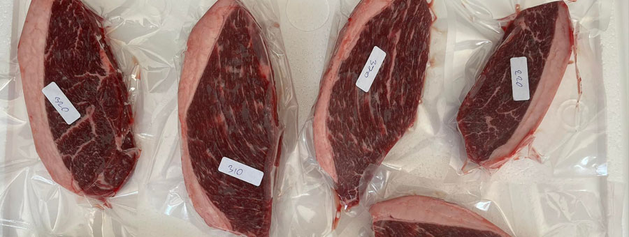 กลยุทธ์การตลาดสำหรับธุรกิจที่ใช้ เนื้อวัวขายส่ง เป็นหลัก