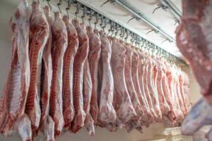 Cold Chain เนื้อวัวสำคัญอย่างไร? ระบบควบคุมอุณหภูมิสำหรับธุรกิจอาหาร