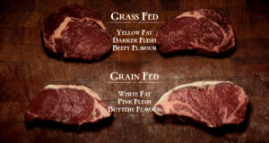 Grain-fed และ Grass-fed