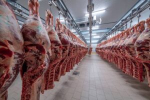 Tyson Foods ปิด–ขาย 3 โรงงาน เนื้อวัวขายส่ง