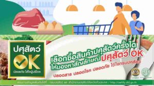 ปศุสัตว์ OK คืออะไร ทำไมผู้บริโภคควรมองหาก่อนซื้อเนื้อวัว