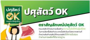 ปศุสัตว์ OK คืออะไร ทำไมผู้บริโภคควรมองหาก่อนซื้อเนื้อวัว