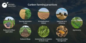 เนื้อวัวขายส่ง กับ Carbon Farming