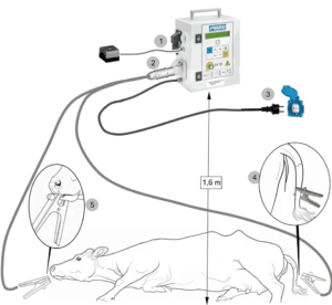 เนื้อโคขุนขายส่งกับ Electrical Stimulation คืออะไร