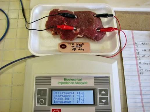 เนื้อโคขุนขายส่งกับ Electrical Stimulation คืออะไร
